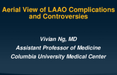 Aerial View of LAAO Complications and Controversies