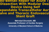 TCT 998: Endo-Bentall Repair for Acute Type A Dissection With Modular Design Device Using Self Expandable Transcatheter Aortic Valve and Thoracic Endovascular Stent Graft
