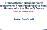 TCT 597: Transcatheter Tricuspid Valve Replacement: From Preclinical to Early First-in-Human Experiences with the MonarQ Device