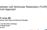 Transcatether Left Ventricular Restoration (TLVR): The AccuCinch Approach