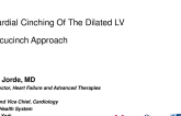 Endocardial Cinching of the Dilated LV: The Accucinch Approach