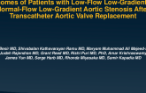 Outcomes of Patients With Low-Flow Low-Gradient and Normal-Flow Low-Gradient Severe Aortic Stenosis After Transcatheter Aortic Valve Replacement