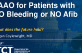 LAAO for Patients with NO Bleeding (CHAMPION, CATALYST)? LAAO for Patients with NO Afib (LeAAPS)? What Does the Future Hold?