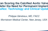 Can Scoring the Calcified Aortic Valve Defer the Need for Permanent Implant (Leaflex): Technology and Clinical Update