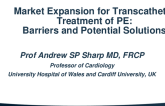 Market Expansion for Transcatheter Treatment of PE: Barriers and Potential Solutions