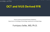 OCT And IVUS Derived FFR