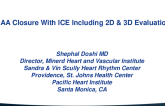 LAA Closure With Ice Including 2D Views and 3D Evaluation