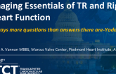 Imaging Essentials for the Assessment of TR and Right Heart Function