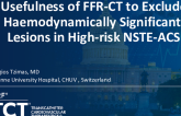 TCT 172: Usefulness of FFR-CT to Exclude Hemodynamically Significant Lesions in High-Risk NSTE-ACS