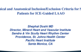 Case 3: My Clinical and Anatomical Inclusion/Exclusion Criteria for Selecting Patients for ICE-Guided LAAO