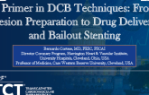 A Primer in DCB Techniques: From Lesion Preparation to Drug Delivery and Bailout Stenting