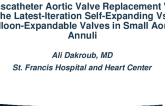 Transcatheter Aortic Valve Replacement With the Latest-Iteration Self-Expanding vs. Balloon-Expandable Valves in Small Aortic Annuli