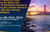 US Early Feasibility Study Evaluating the Safety and Efficacy of Rotational Closure of the Left Atrial Appendage Using the Laminar Device in Patients with Non-Valvular Atrial Fibrillation