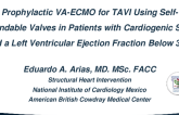 Prophylactic VA-ECMO for TAVI Using Self-Expandable Valves in Patients With Cardiogenic Shock and a Left Ventricular Ejection Fraction Below 30%