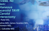 No Access, No Problem; Simultaneous Transcarotid TAVR via Carotid Endarterectomy