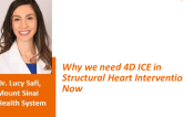 Why we need 4D ICE in Structural Heart Interventions Now