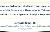 TCT 501: Hydrodynamic Performance of a Short-Frame Supra-Annular Self-Expandable Transcatheter Heart Valve for Valve-in-Valve Implantation Across a Spectrum of Surgical Bioprostheses