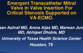 TCT 967: Emergent Transcatheter Mitral Valve in Valve Insertion For Critical Stenosis Supported on VA-ECMO.