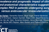 TCT 698: Prevalence and Prognostic Impact of Clinical and Anatomical Characteristics Suggesting Complex Pad in Patients Undergoing Surgical vs Endovascular Revascularization