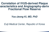 TCT 454: Correlation of IVUS-derived Plaque Characteristics and Angiography-Derived Fractional Flow Reserve