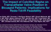TCT 138: The Impact of Calcified Raphe on Transcatheter Valve Position in Bicuspid Patients: Implications for Redo-TAVR Feasibility and Virtual Valve Planning