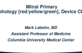 Mitral Primary (Morphology [red/yellow/green], Device choice)
