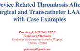 Device Related Thrombosis After Surgical and Transcatheter LAAO with Case Examples