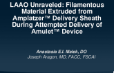 LAAO Unraveled: Filamentous Material Extruded From Amplatzer™ Delivery Sheath During Attempted Delivery of Amulet™ Device