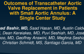 TCT 196: Outcomes of Transcatheter Aortic Valve Replacement in Patients With Small Aortic Annulus