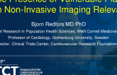 Is the Presence of Vulnerable Plaque With Non-invasive Imaging Relevant?