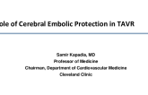 The Role of Cerebral Embolic Protection in TAVR