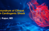 The Conundrum of Clinical Trials in Cardiogenic Shock