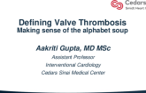 Defining Valve Thrombosis: Making Sense of Alphabet Soup