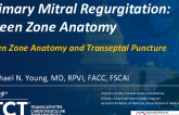 Case-Based Examples – Primary MR, Green Zone Anatomy (Including Optimizing the Transseptal Puncture)