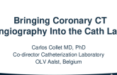 Bringing Coronary CT Angiography Into the Cath Lab