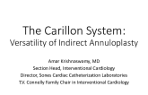 Carillon Mitral Contour System® Case Experience