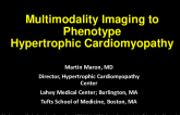 Multimodality Imaging to Phenotype HCM