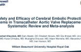 Safety and Efficacy of Cerebral Embolic Protection Systems in Transcatheter Aortic Valve Replacement: A Systematic Review and Meta-analysis