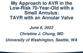 Position 2: TAVR With an Annular Valve