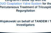 Long-Term Follow Up With the DUO Coaptation Valve System for the Percutaneous Treatment of Tricuspid Regurgitation: The TANDEM I Trial