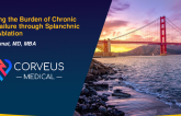 Relieving the Burden of Chronic Heart Failure by Splanchnic Nerve Ablation (Corveus Medical)