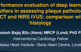 TCT 684: Evaluation of the performance of deep learning-based methods in assessing plaque pathology in OCT and NIRS IVUS: a head-to-head comparison with histology 