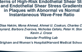 TCT 235: Patterns of High-Risk Endothelial Shear Stress and Endothelial Shear Stress Gradients in Plaques with Abnormal vs Normal Resting Fractional Flow Reserve Ratio