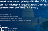 TCT 973: One-Year Outcomes After K-Clip System Transcatheter Tricuspid Valve Repair