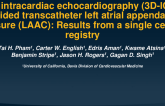 TCT 559: 3D Intracardiac Echocardiography (3D-ICE) Guided Transcatheter Left Atrial Closure (LAAC): Results From a Single Center Registry