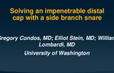 TCT 849: Solving an impenetrable distal cap with a snared side branch wire