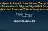Hemodynamic Impact of Ventricular Tachycardia After Transcatheter Edge-to-Edge Mitral Repair: Insights From Pressure-Volume Loop Monitoring