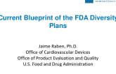 Current Blueprint of the FDA Diversity Plans