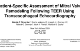 Patient-Specific Assessment of Mitral Valve Remodeling Following TEER Using Transesophageal Echocardiography