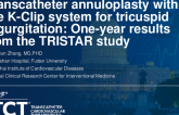 Transcatheter Annuloplasty With the K-Clip System for Tricuspid Regurgitation: One-Year Results from the TRISTAR Study